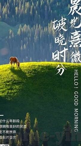陕西竟彩足球比分-陕西竟彩足球比分，激情与梦想交织的绿茵舞台